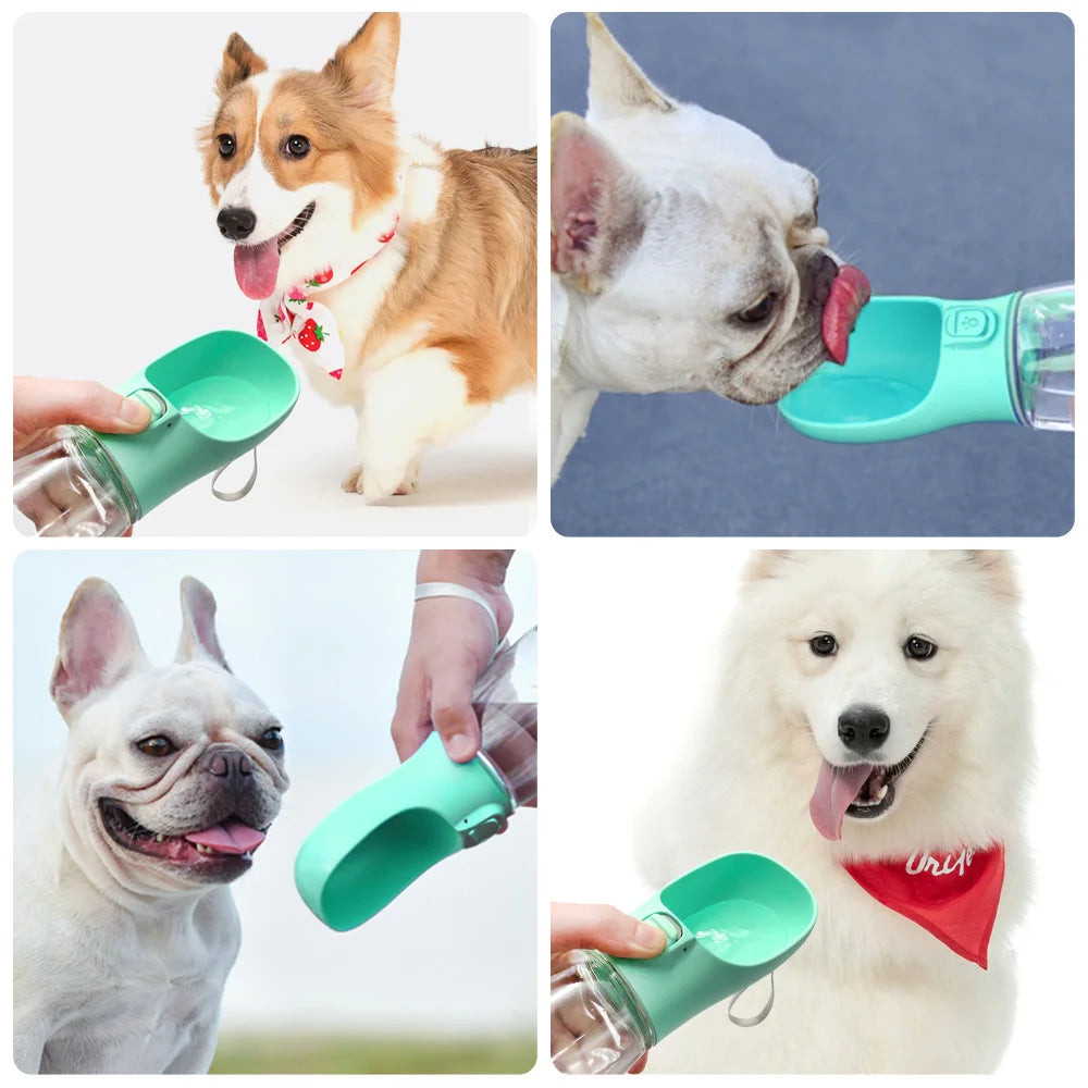 Portable Dog & Cat Water Bottle – Leakproof Travel Drinking Bottle